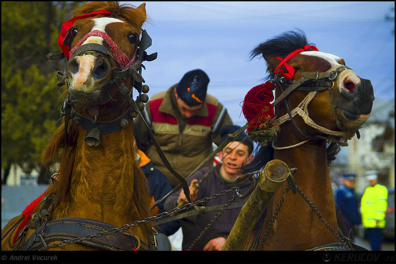 andrei_vocurek_kerucov_orasul_ro_targoviste_tudorita_05