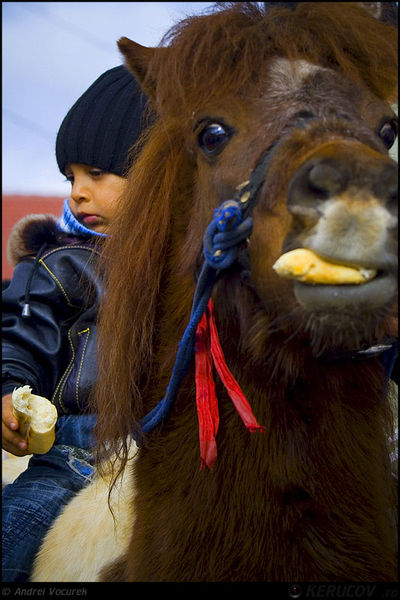 andrei_vocurek_kerucov_orasul_ro_targoviste_tudorita_06