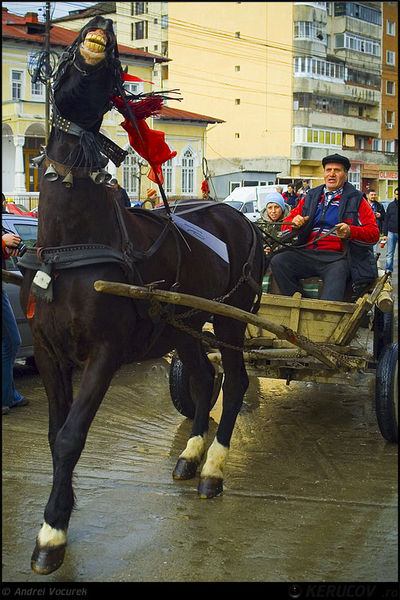 andrei_vocurek_kerucov_orasul_ro_targoviste_tudorita_07