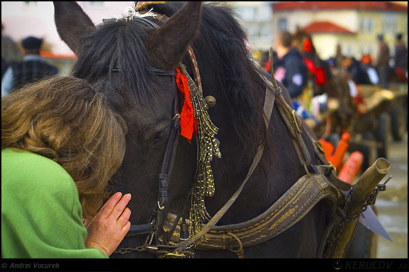 andrei_vocurek_kerucov_orasul_ro_targoviste_tudorita_09