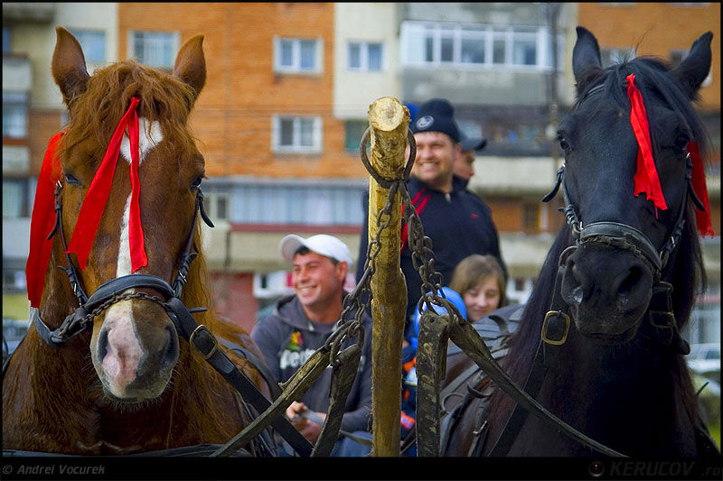 andrei_vocurek_kerucov_orasul_ro_targoviste_tudorita_10