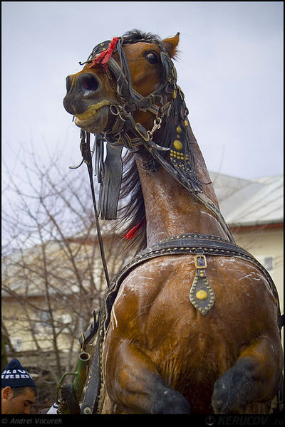 andrei_vocurek_kerucov_orasul_ro_targoviste_tudorita_11