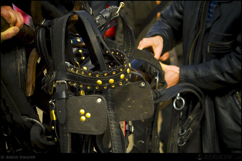 andrei_vocurek_kerucov_orasul_ro_targoviste_tudorita_16