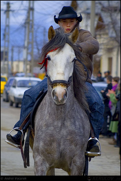 andrei_vocurek_kerucov_orasul_ro_targoviste_tudorita_18