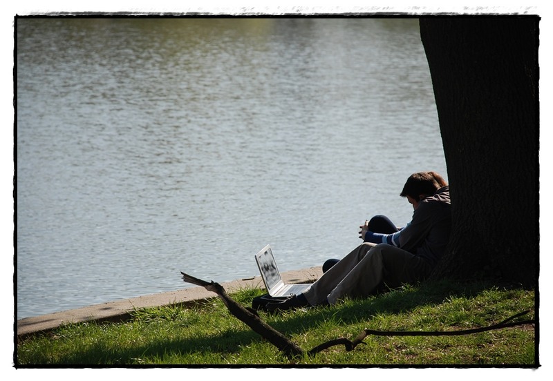 vizionare-in-aer-liber