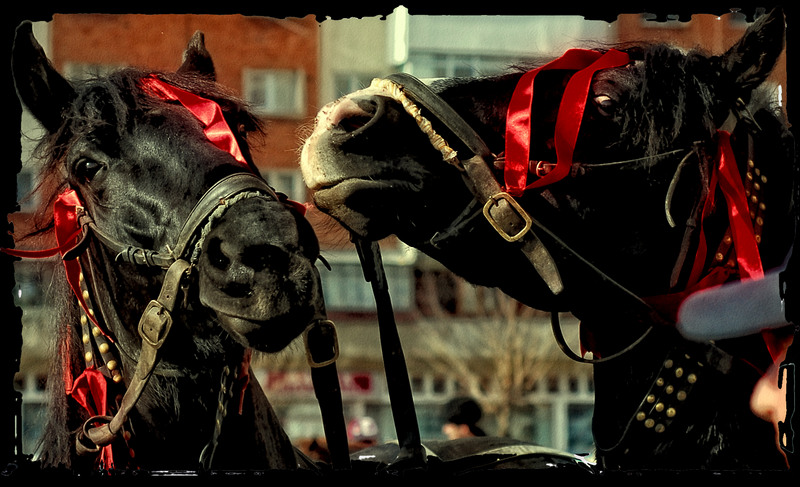 dsc_0893_marcel-si-cazacu