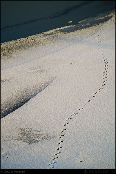 andrei_vocurek_kerucov_orasul_ro_lacul_fundeni_15