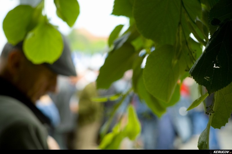 kerucov_miting_din_19_mai_2010_21