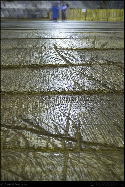 andrei_vocurek_foto_slanic_08