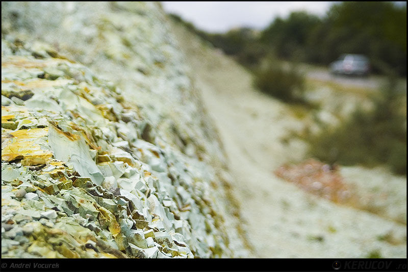 andrei_vocurek_foto_slanic_18