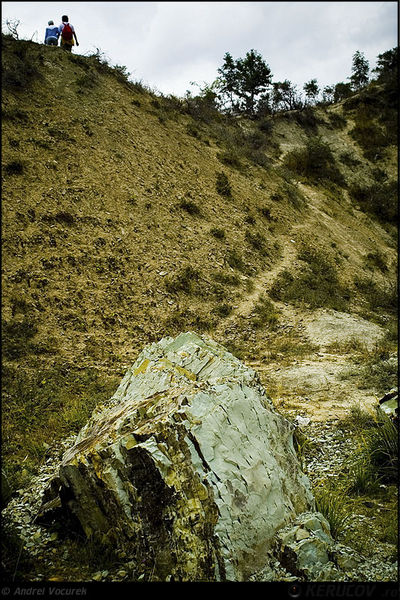 andrei_vocurek_foto_slanic_19