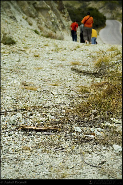 andrei_vocurek_foto_slanic_20