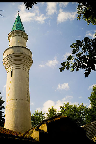 andrei_vocurek_foto_bellu_01