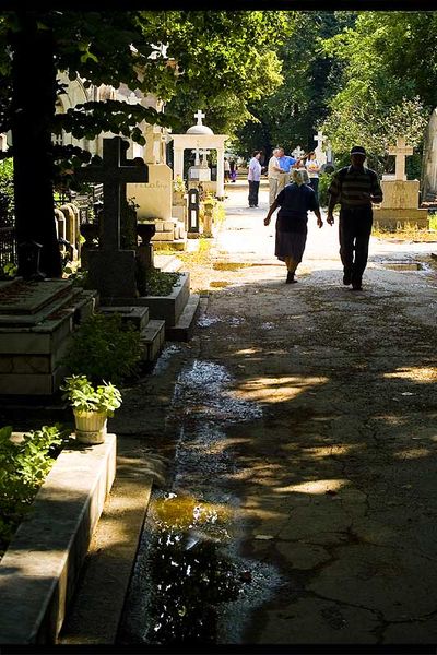 andrei_vocurek_foto_bellu_07