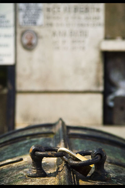 andrei_vocurek_foto_bellu_08