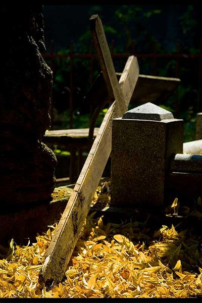 andrei_vocurek_foto_bellu_09