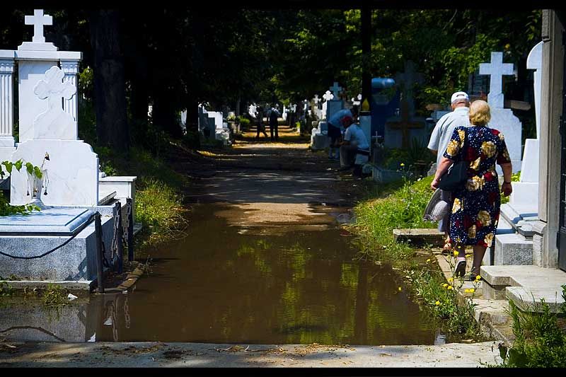 andrei_vocurek_foto_bellu_11