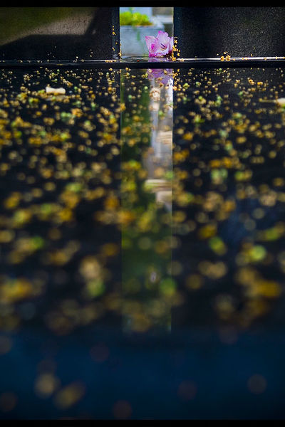 andrei_vocurek_foto_bellu_13