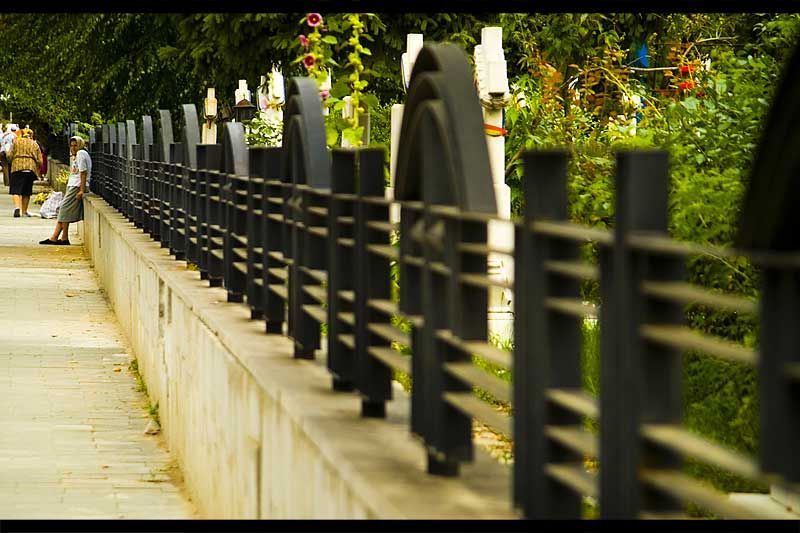 andrei_vocurek_foto_bellu_15