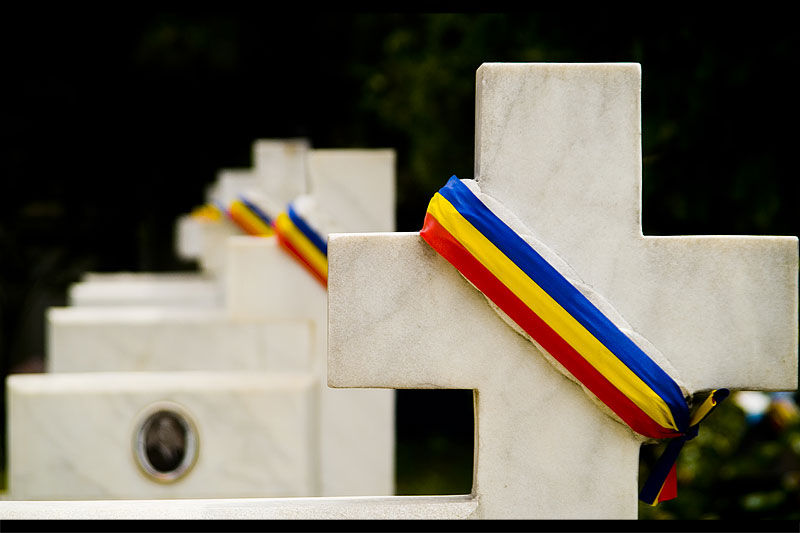 andrei_vocurek_foto_bellu_16