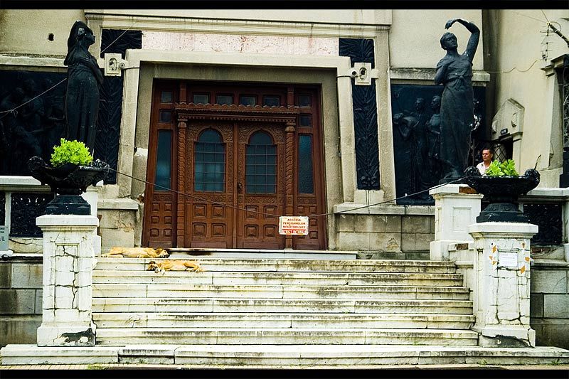 andrei_vocurek_foto_bellu_22