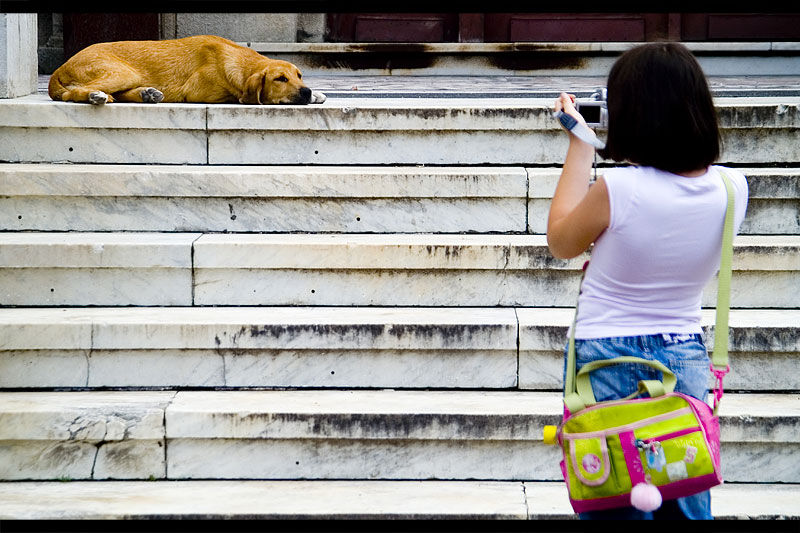 andrei_vocurek_foto_bellu_24
