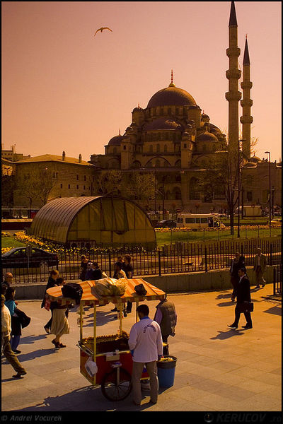 andrei_vocurek_kerucov_ro_13