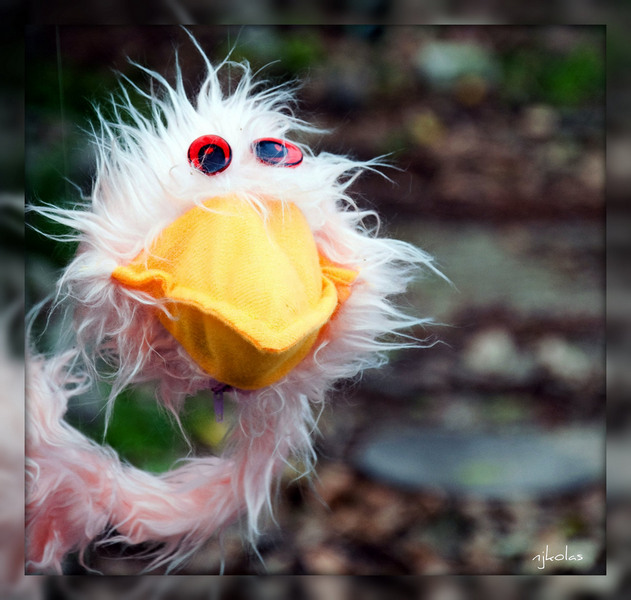 4652475973_f054dcbe8c_b