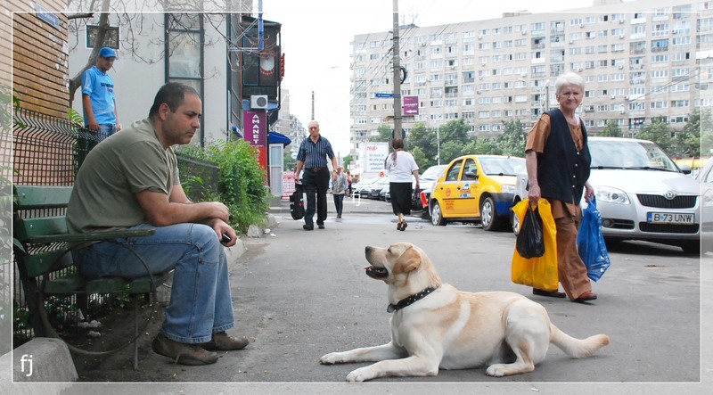 atentie-la-mine-de-florijianu