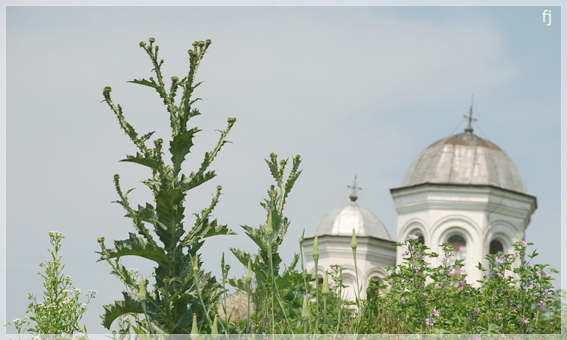 biserica-foisor-de-florijianu