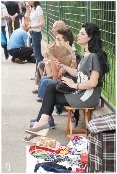 evantaiul-de-florijianu