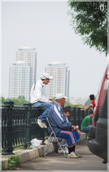 sepcuta-alba-de-florijianu