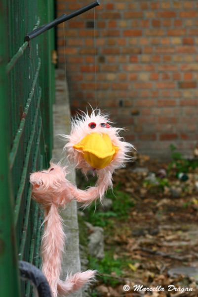 distror-timpuri-noi-marcella-2