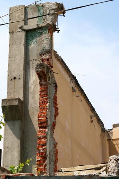 distror-timpuri-noi-marcella-28