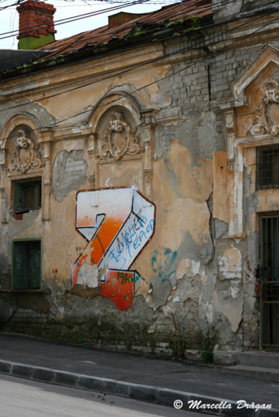 distror-timpuri-noi-marcella-30