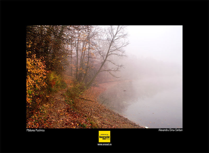 alexandru_dinu_serban_01