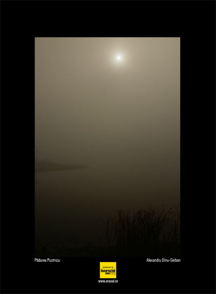 alexandru_dinu_serban_02