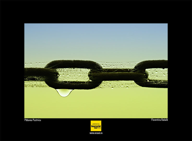 florentina-rafaila_1