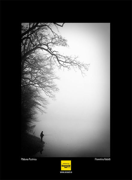 florentina-rafaila_2