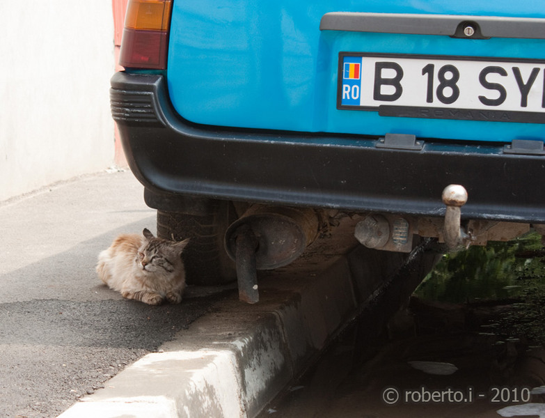 robertoi_dristor_timpurinoi_mai2010_08