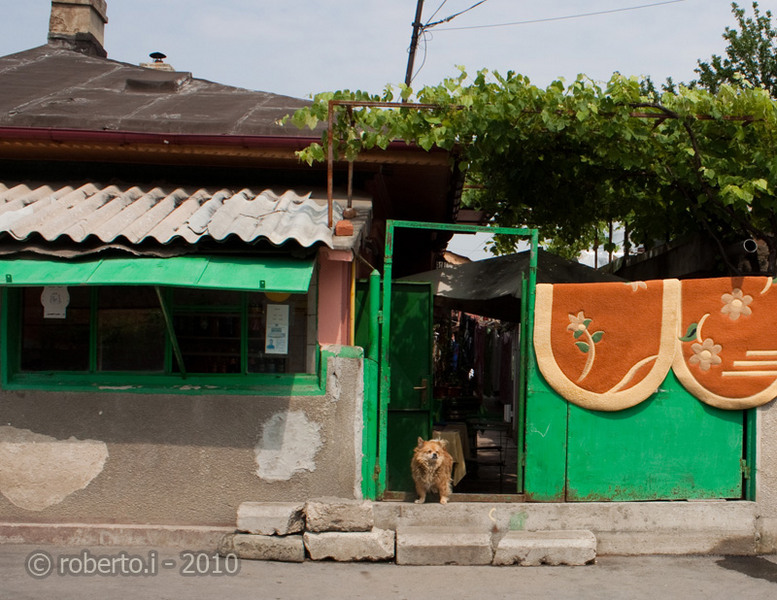 robertoi_dristor_timpurinoi_mai2010_10