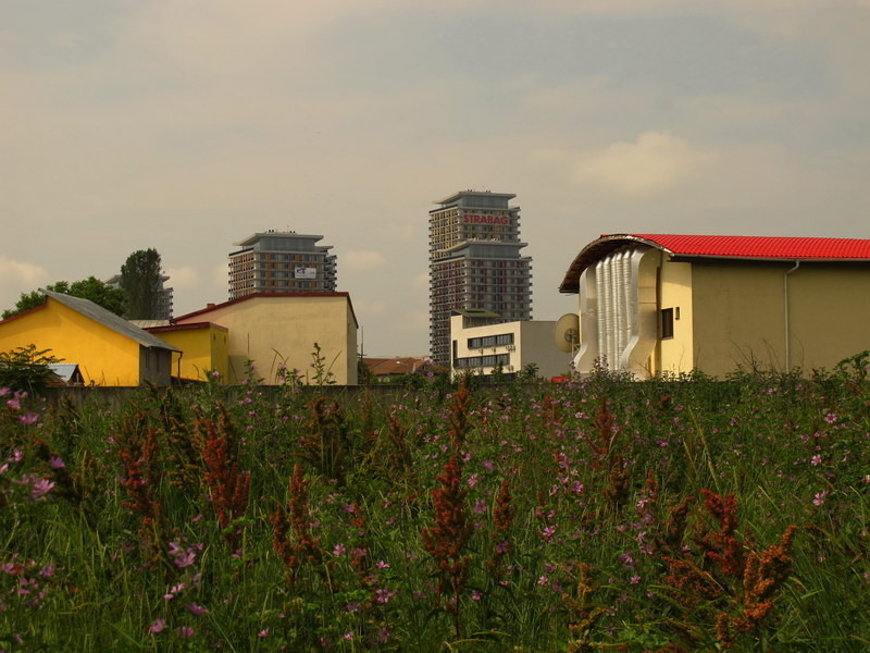 Teren numai bun de construit, daca nu venea criza...