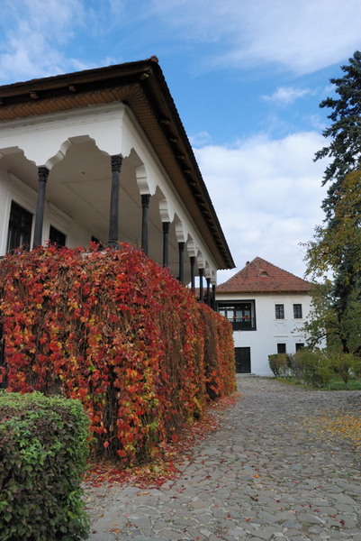 valeni_cristiand_7727