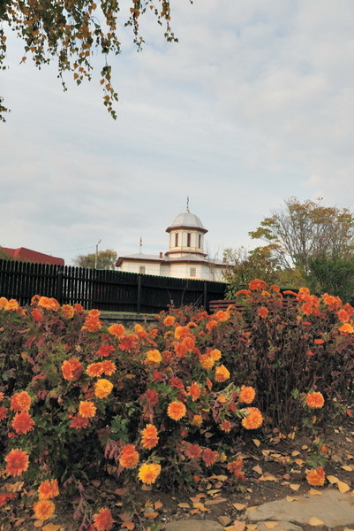 valeni_cristiand_7759