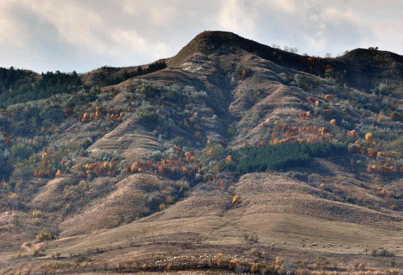 vulcani_cristiand_7667