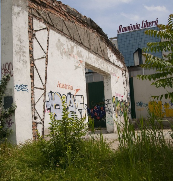 trasca_mihai_dristor-timpuri_noi_22