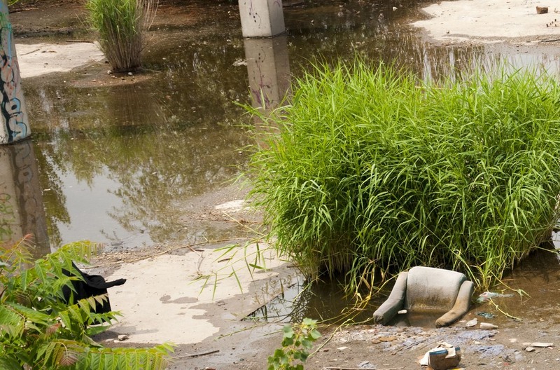 trasca_mihai_dristor-timpuri_noi_23