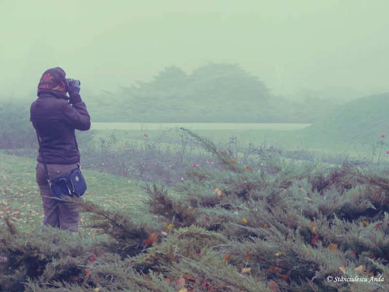 herastrau-parada-056