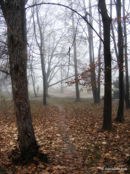 herastrau-parada-089