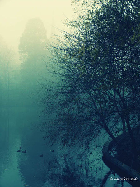 herastrau-parada-120